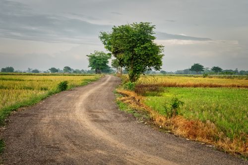Free A winding rural road through lush green fields in West Java, Indonesia, showcasing natural beauty. Stock Photo