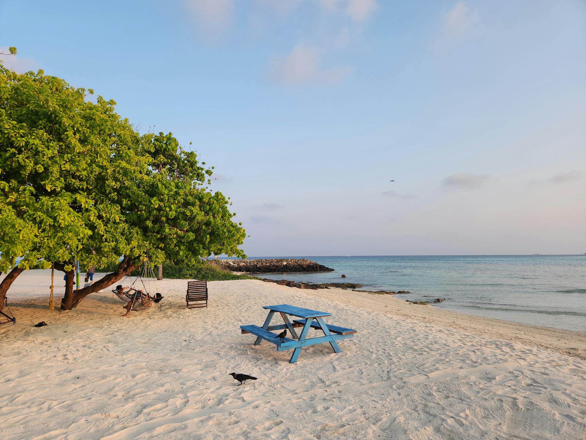 free photo of scenic maafushi beachfront in the maldives