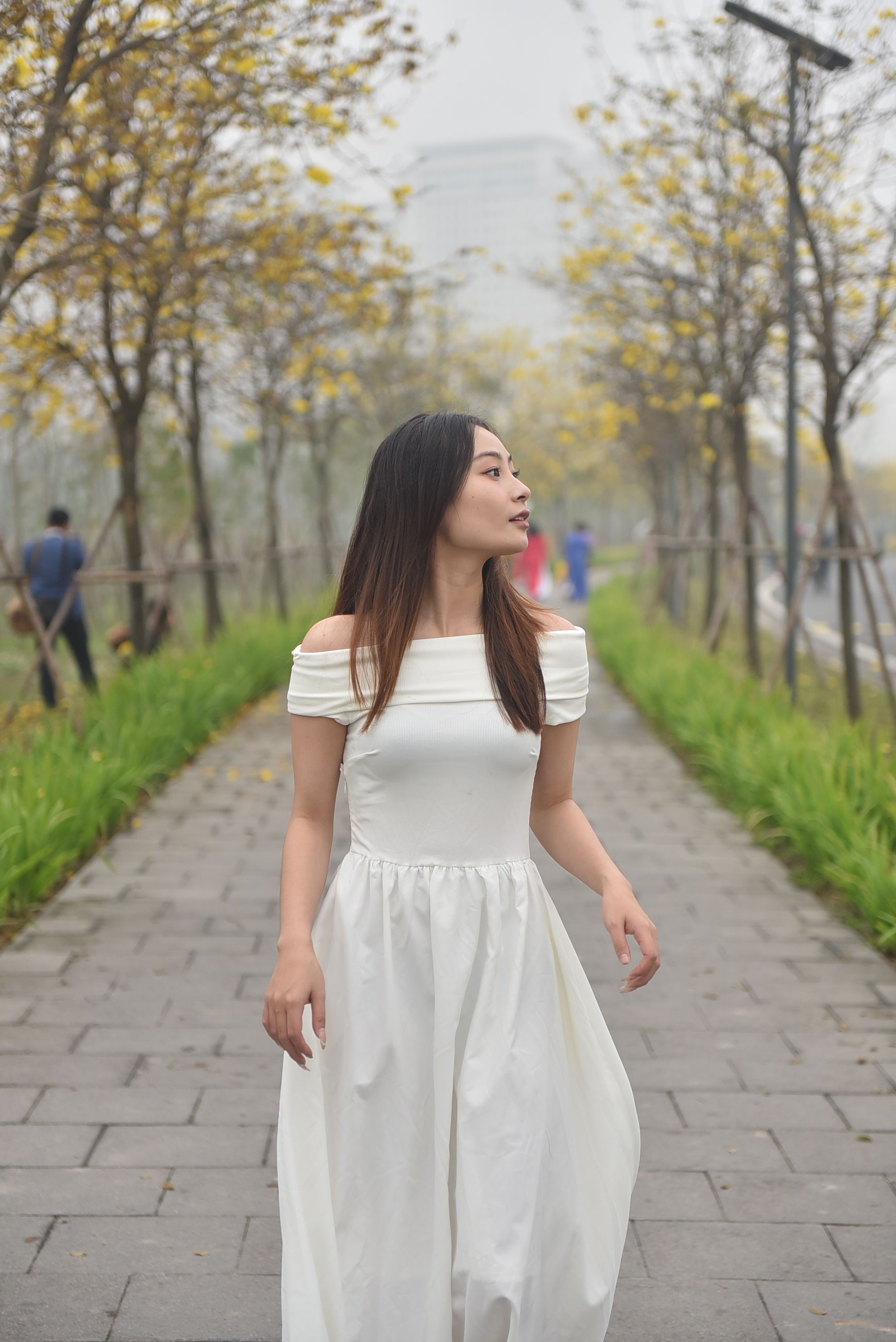 Elegant Woman Strolling in Park Pathway · Free Stock Photo