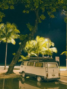 Retro van parked under palm trees by the beach at night.