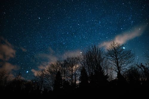 Free A clear night sky with countless stars shining above a dark forest silhouette. Stock Photo