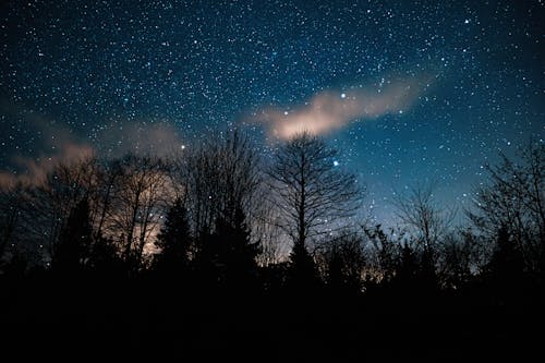 Why Early Winter Is Ideal for Stargazing and Crisp Night Skies