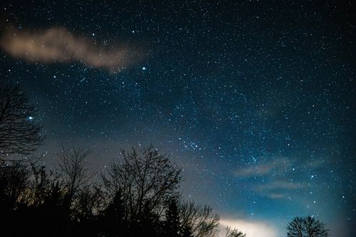 Free A captivating starry night sky visible above silhouetted trees, showcasing a serene and cosmic view. Stock Photo