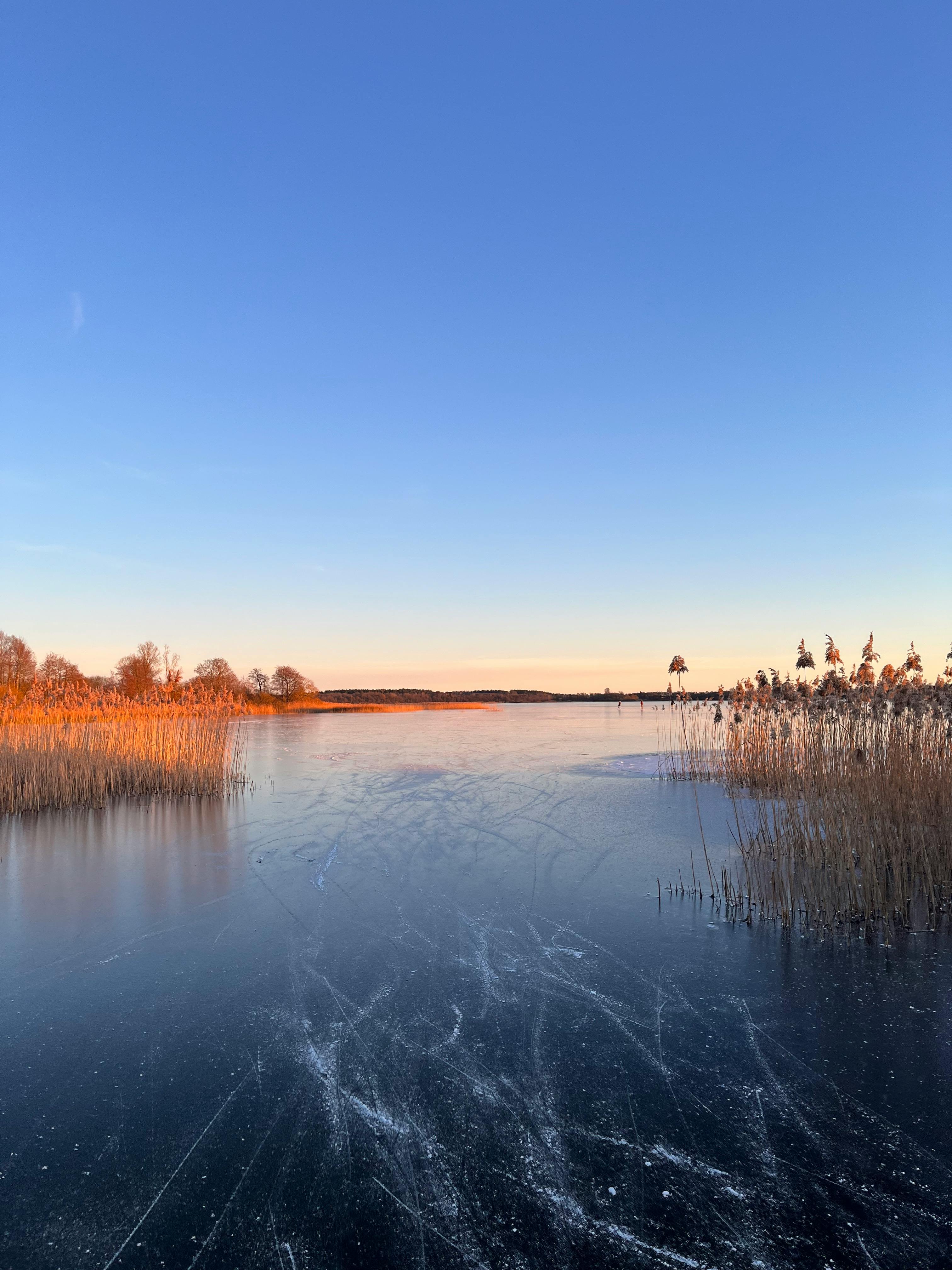 無料 澄み切った青空と冬の夕暮れ時のスウェーデンの静かな凍った湖。 写真素材
