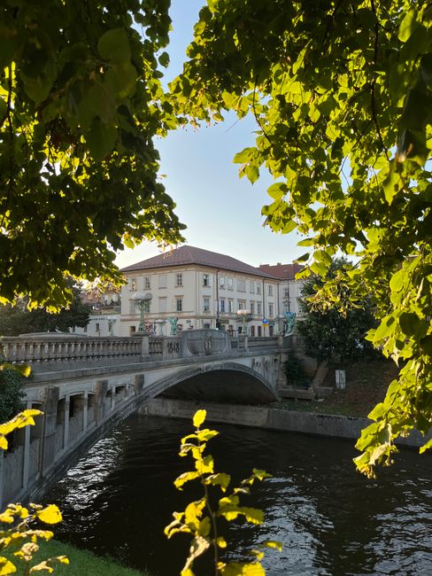 pedestrian bridge over urban canal daytime
