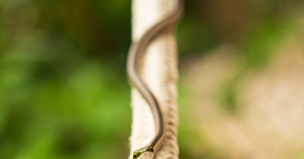 美中貿易戰:誰也不願退讓,局勢持續緊張
