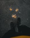 柏油路上，一个穿着牛仔裤和运动鞋的人站在散落的秋叶中