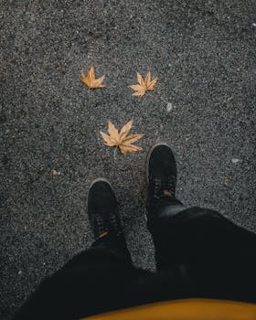 柏油路上，一个穿着牛仔裤和运动鞋的人站在散落的秋叶中