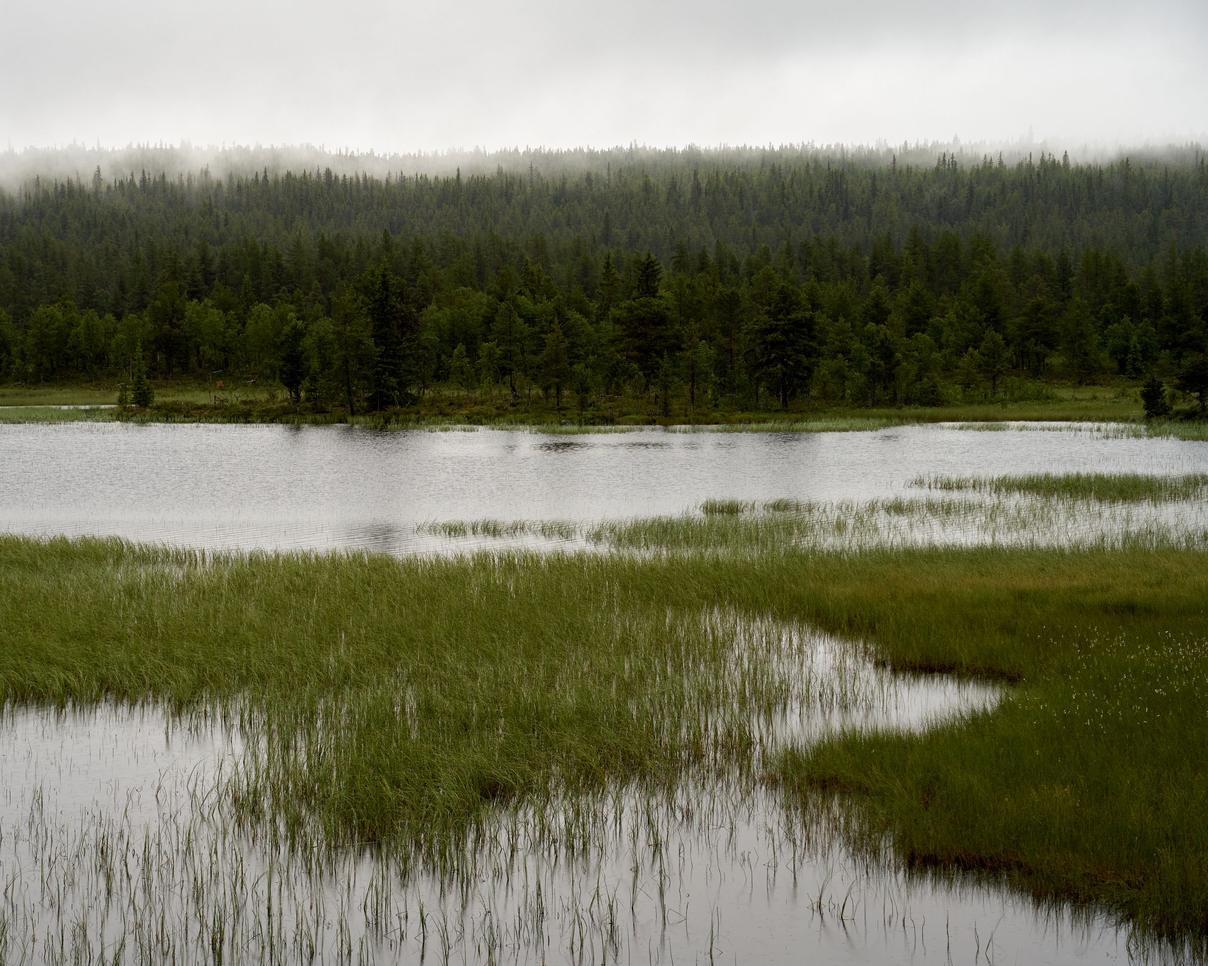 Nationaal Park Sanfjället