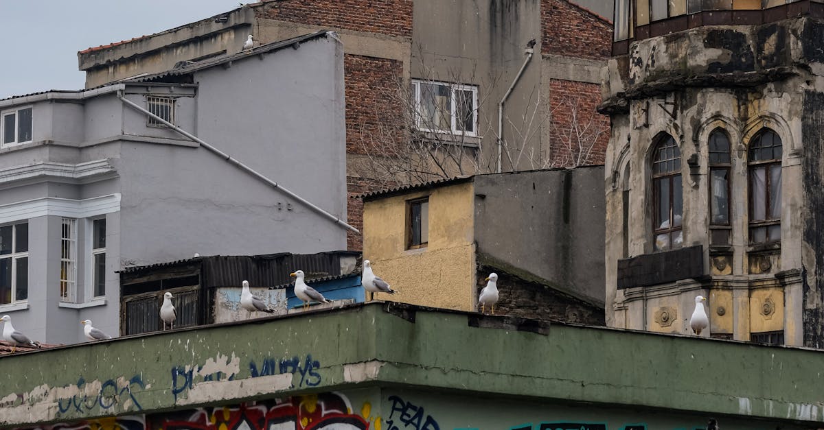 探索台灣的多元視角:麥田出版新書《記憶台灣1》