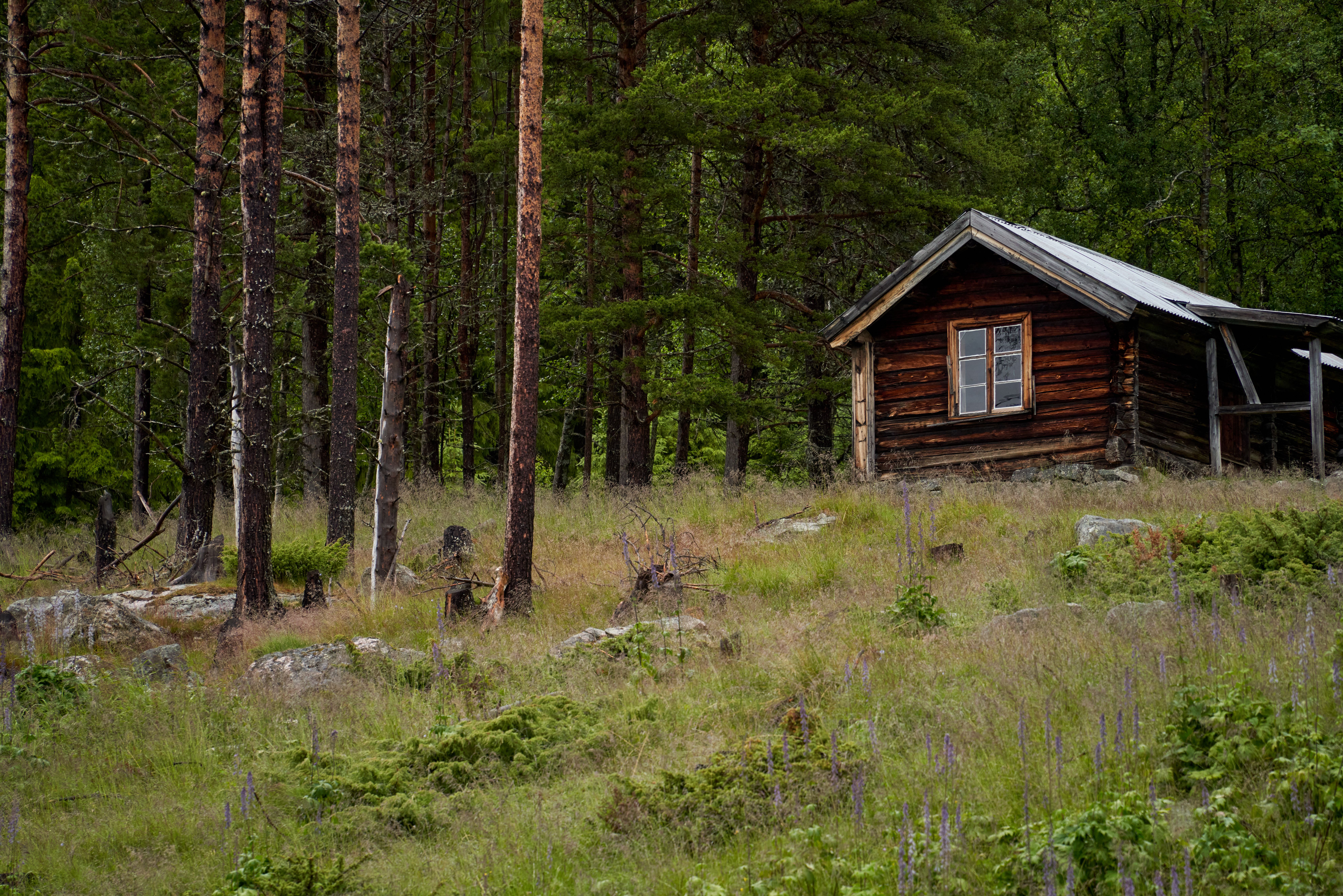 Nyt hut photos download the best free nyt hut stock photos hd images