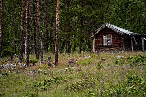 Free Discover a serene log cabin nestled in the peaceful woods of Uvdal, Norway. Stock Photo