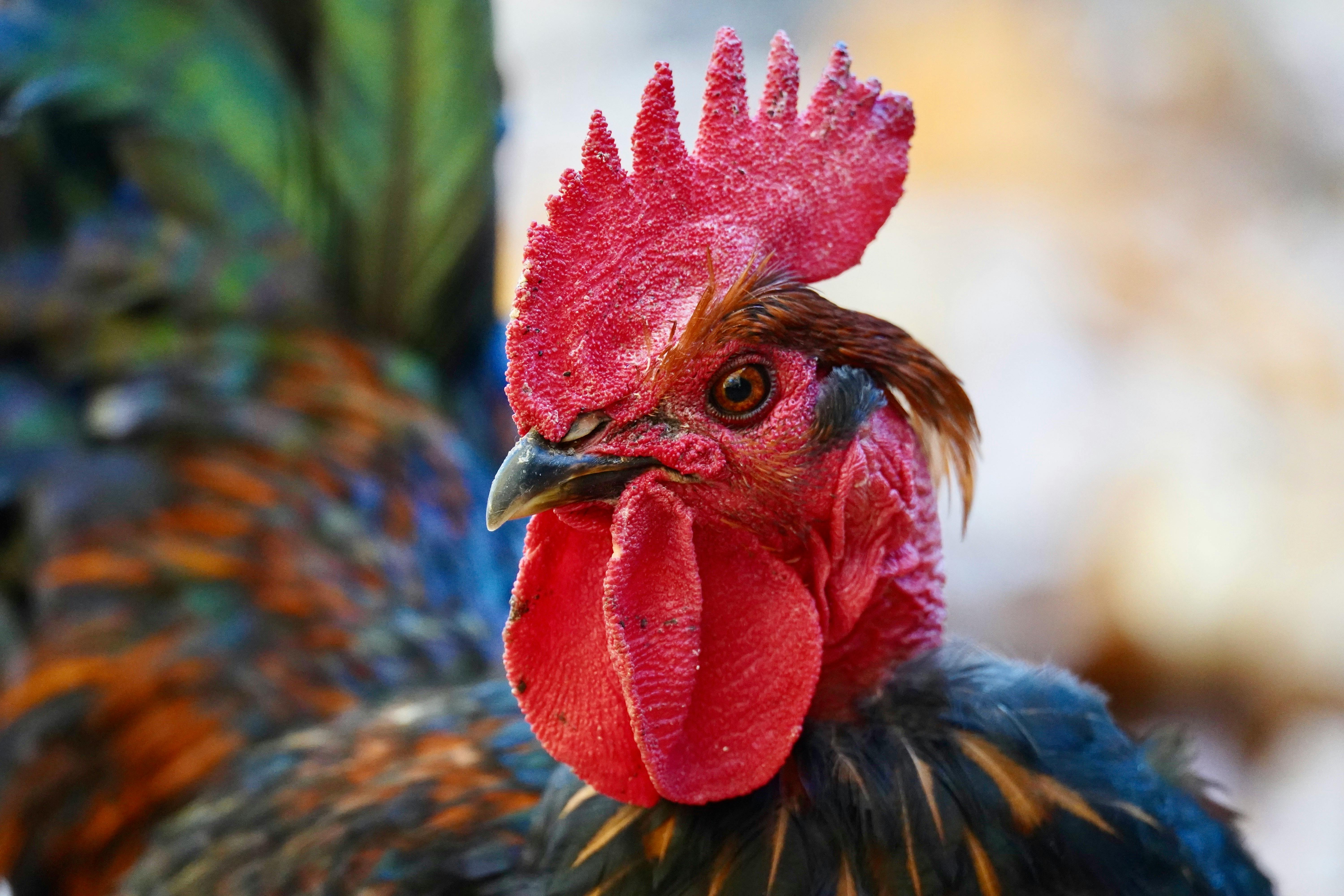 What Are The Best Yield Farming Opportunities? What Are The Best Yield Farming Opportunities?