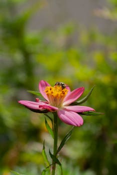 Arroyo de la Encomienda