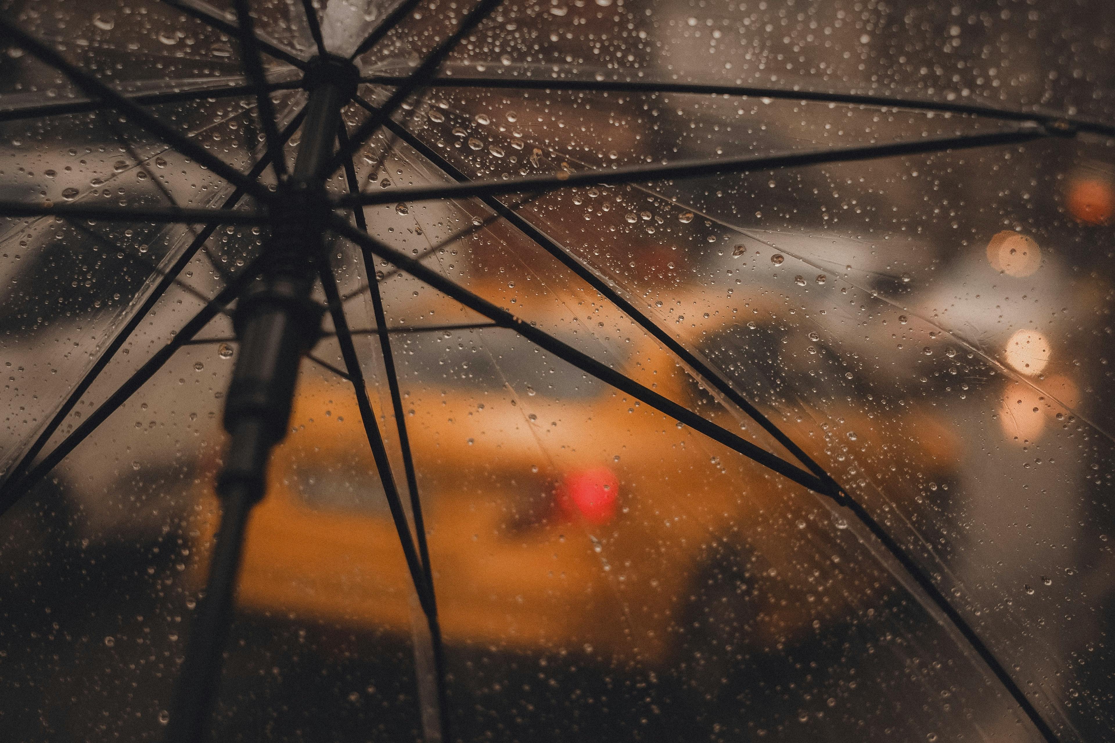 insurance coverage — Photo by Ömer Aydın on Pexels