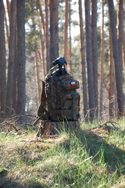 Free Camouflage backpack placed on a stump in a sunlit pine forest, symbolizing adventure. Stock Photo