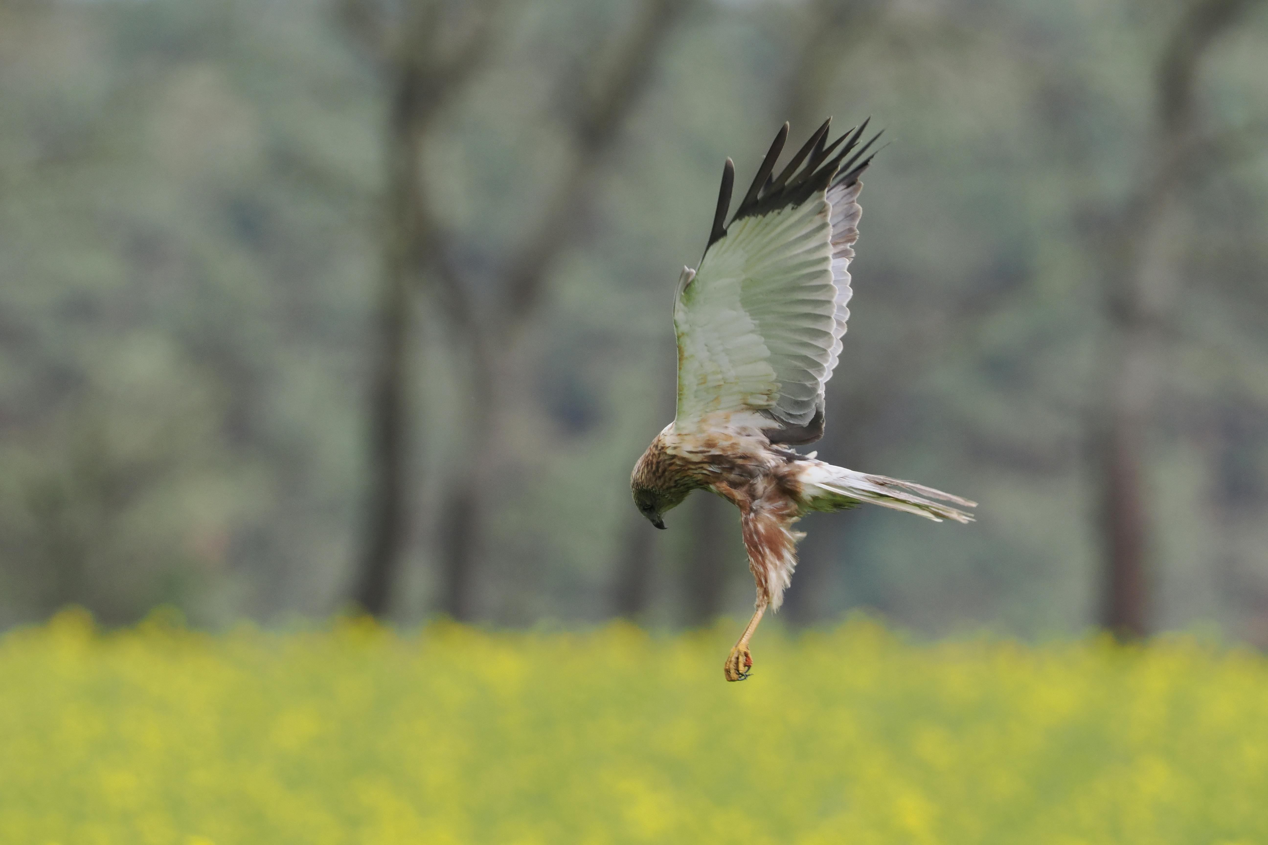 What Are VOCs And How Do They Affect Health?