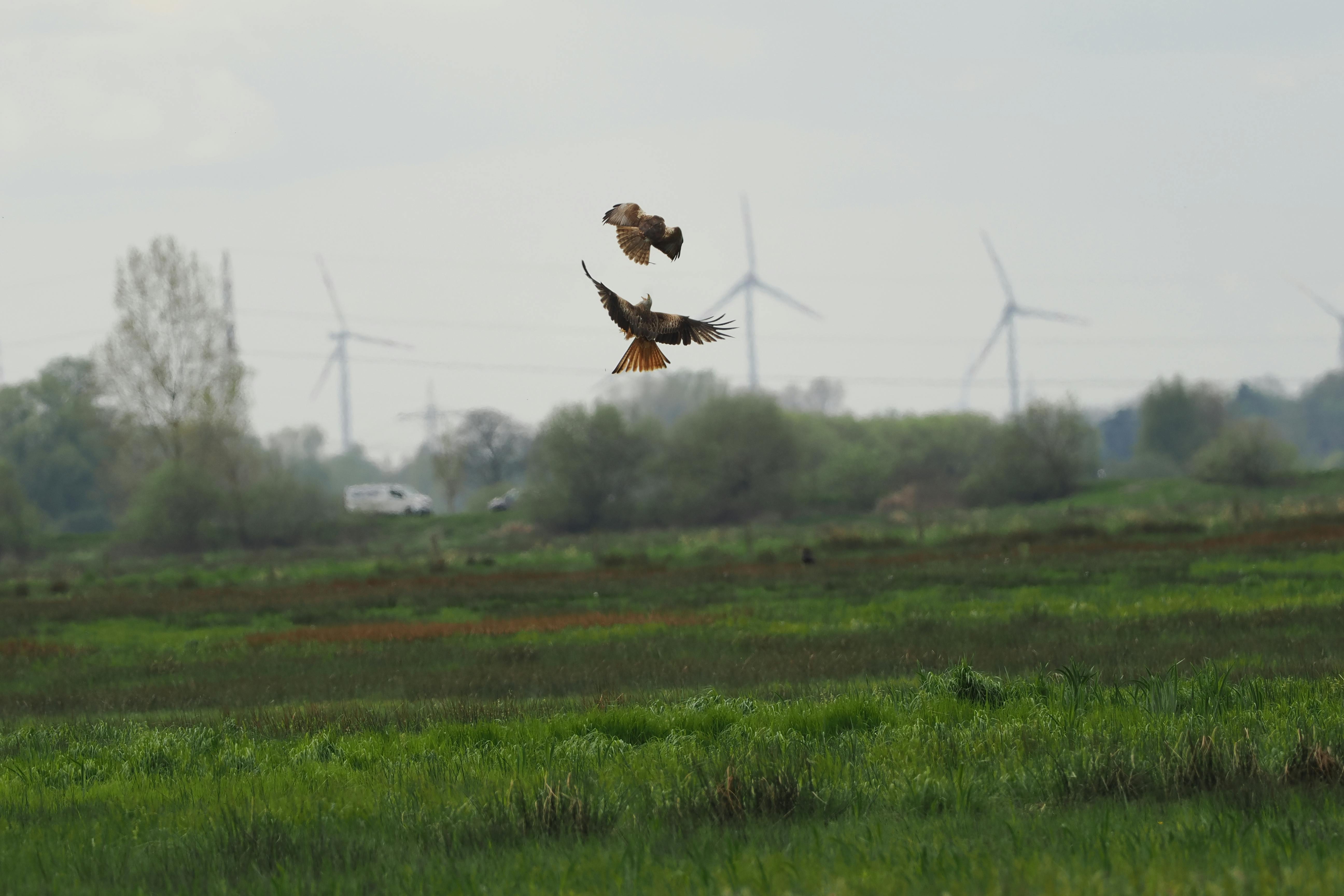 陸府攜手雲門舞集 推動藝術美學與永續生活實踐