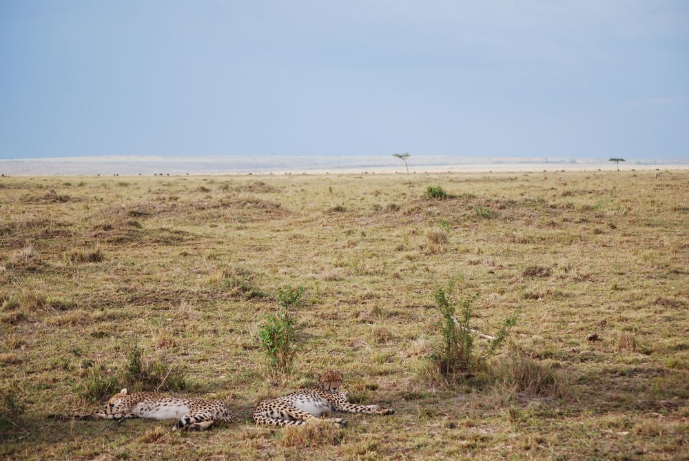 Kenya