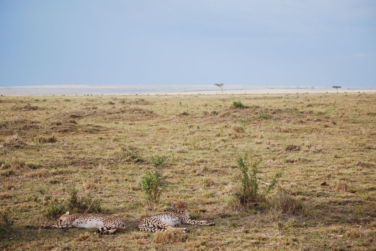 Kenya