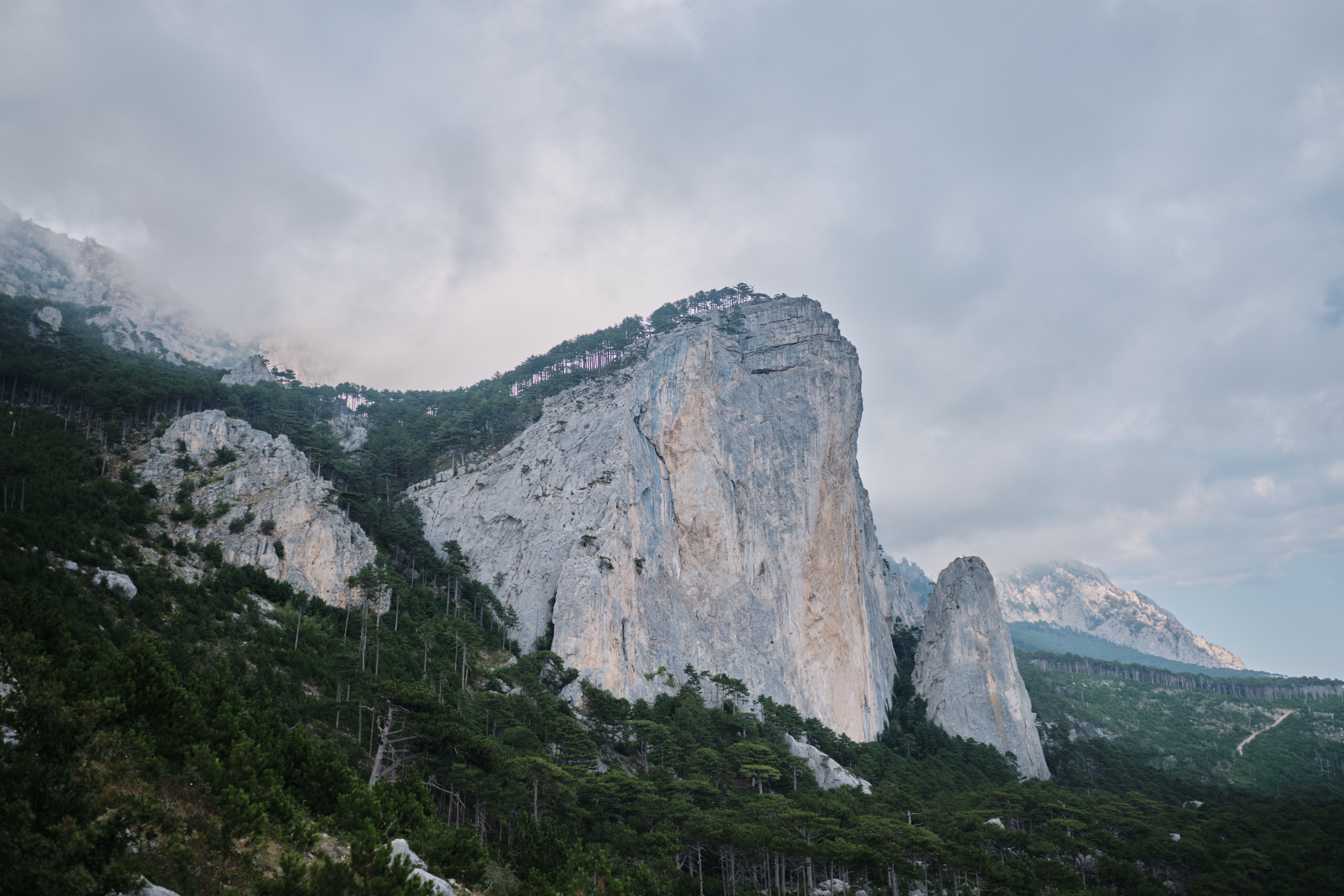 Majestic Mountain Landscape with Lush Forest · Free Stock Photo