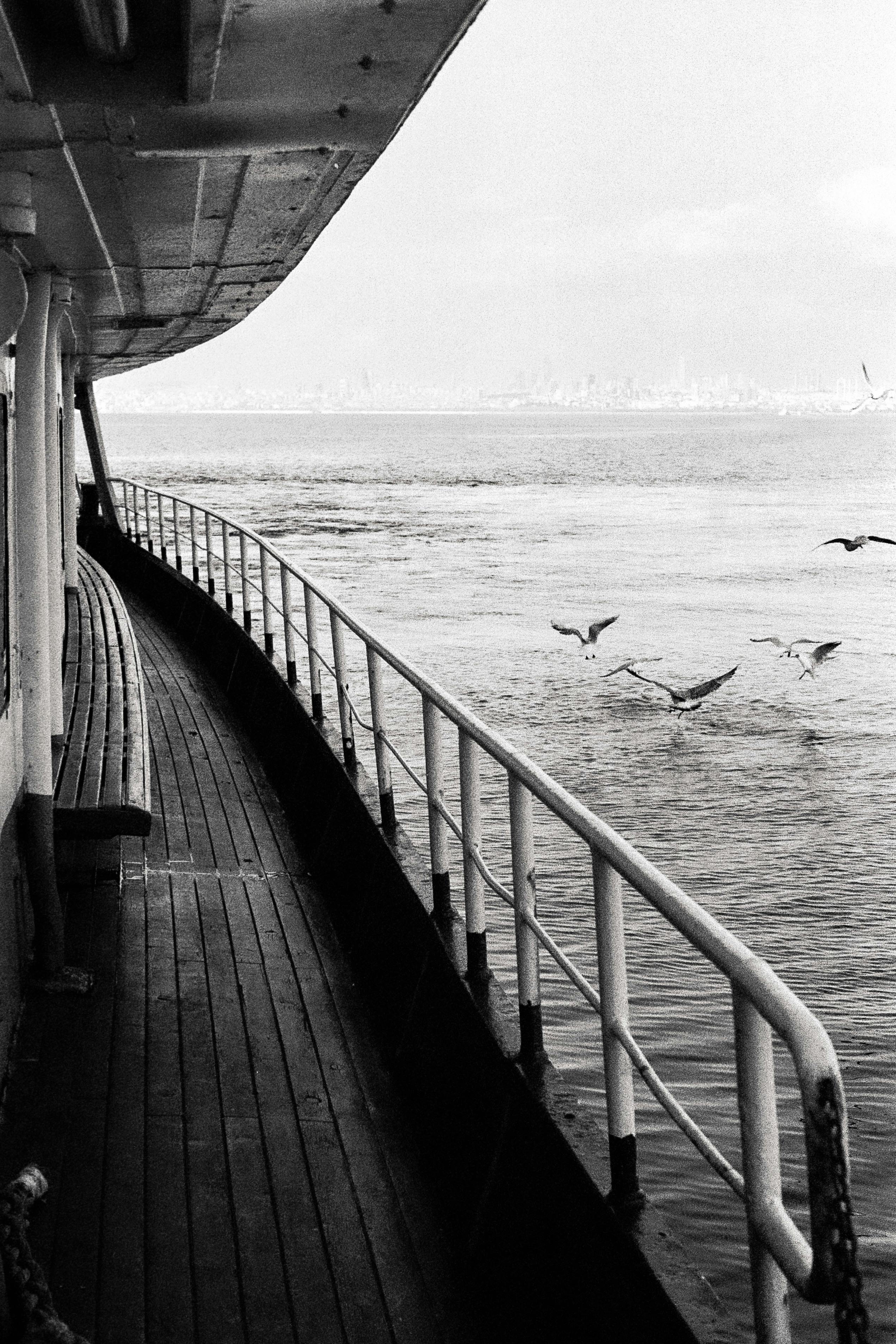 Classic black and white photo capturing a ship's deck and seagulls with Istanbul skyline.