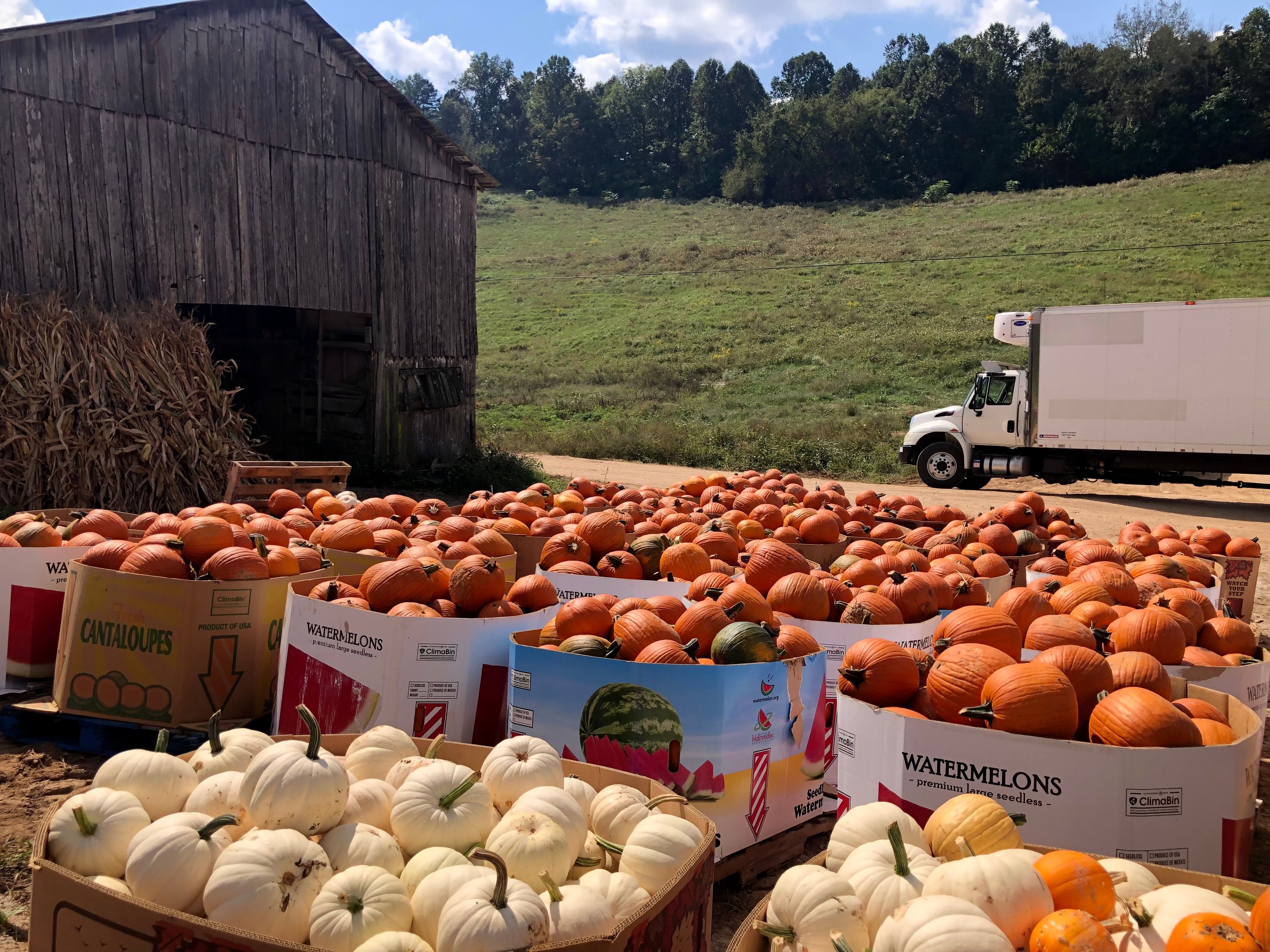 Autumn Harvest Display at Rustic Farm · Free Stock Photo