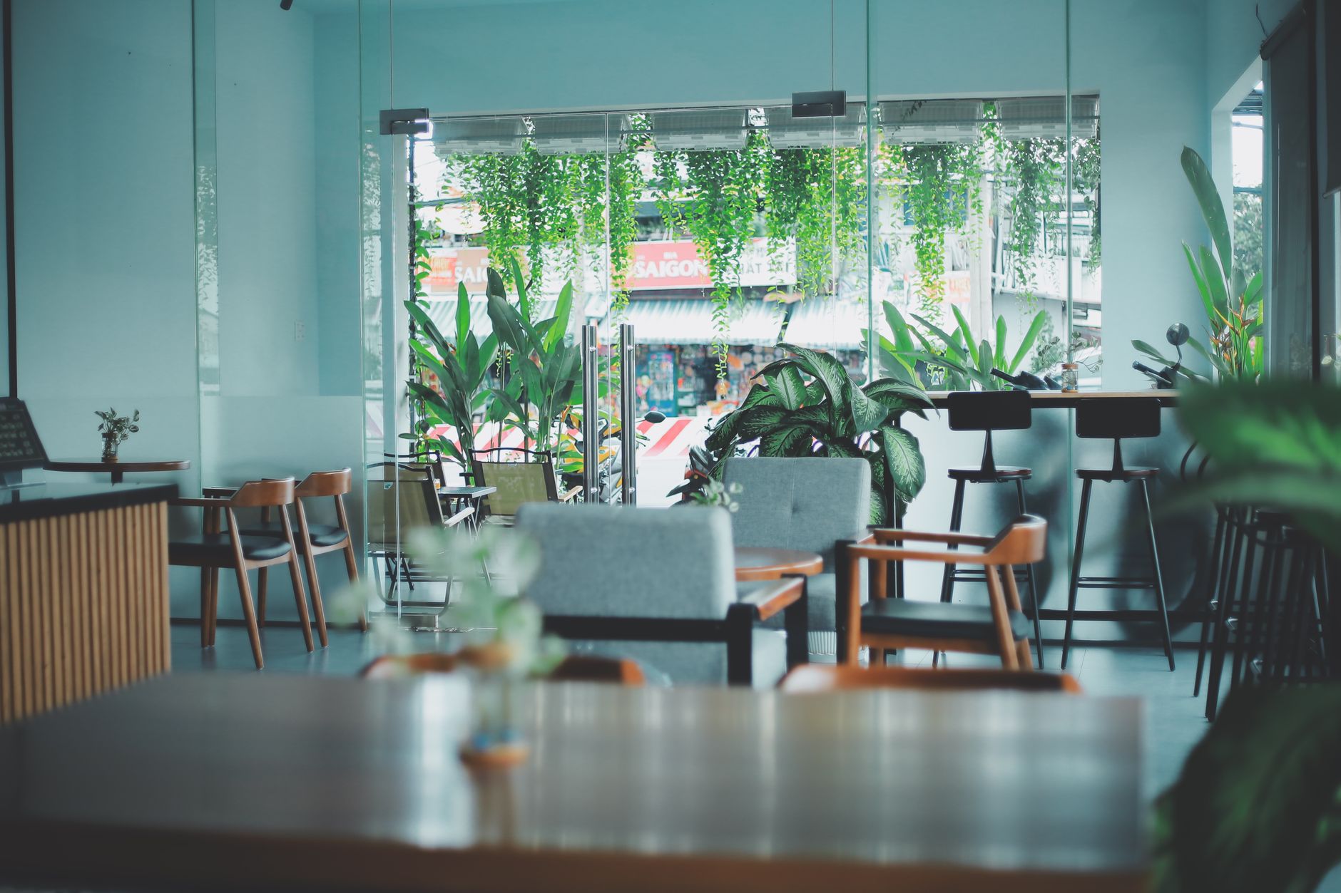 A serene and stylish cafe interior accented with lush greenery and modern furnishings.
