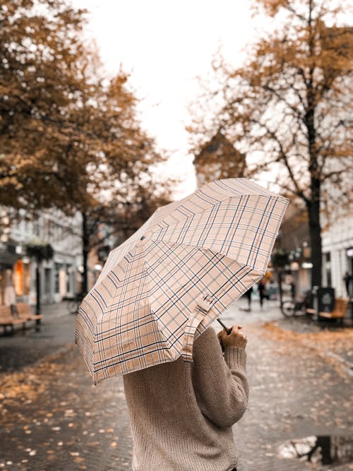 Person Under Umbrella