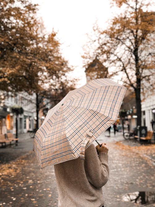 Photos gratuites de automne, individu, parapluie, personne