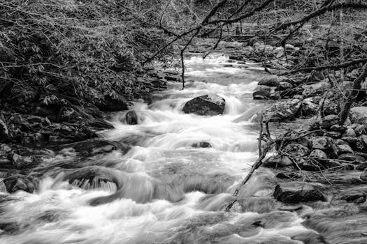 Black and white photograph of a flowing river in Tennessee, capturing tranquil natural beauty.