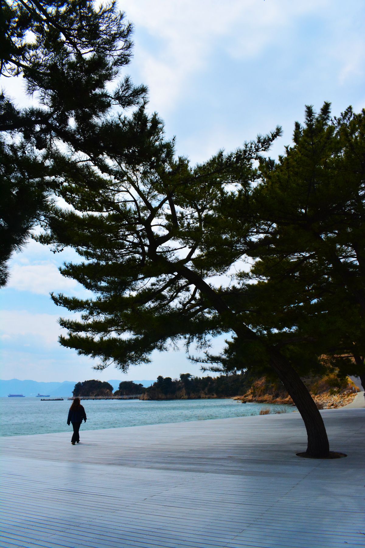 A lone walker on a seaside boardwalk shaded by pine trees on Naoshima, overlooking the Seto Inland Sea