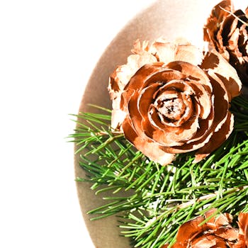 Detailed macro of pine cones resting on green evergreen needles, highlighting natural textures.