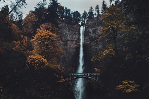 Free A stunning view of Multnomah Falls cascading amidst vibrant fall foliage in Oregon. Stock Photo
