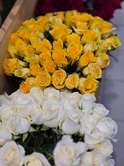 Free Bright yellow and white roses arranged neatly in wooden boxes for decorative purposes. Stock Photo