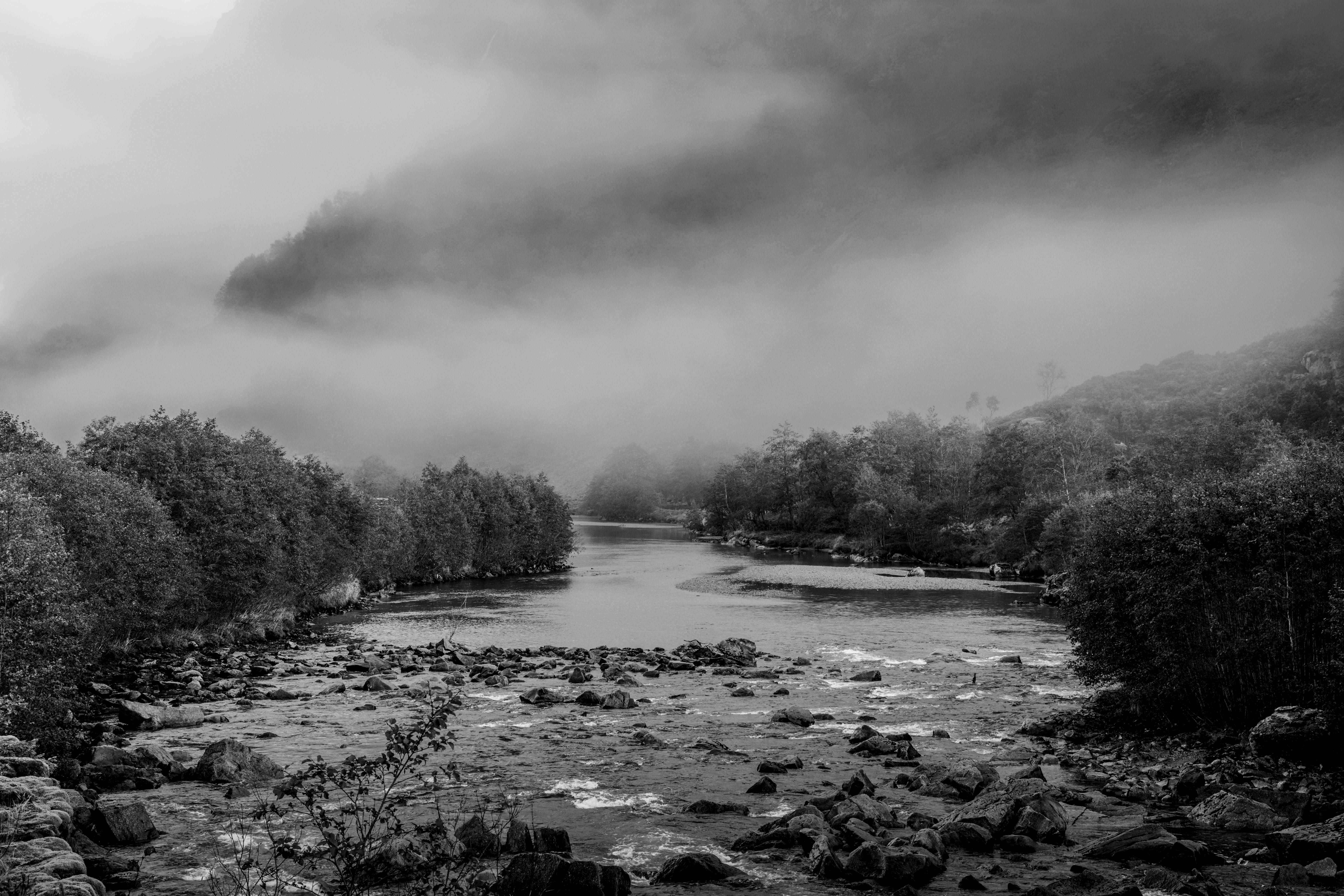 Serene Misty River in Black and White Landscape · Free Stock Photo
