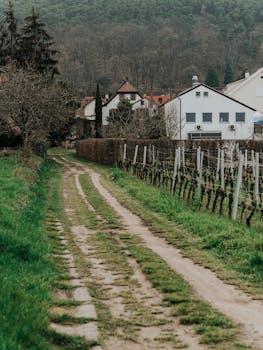 Rustic dirt path leading to quaint village homes in the countryside.