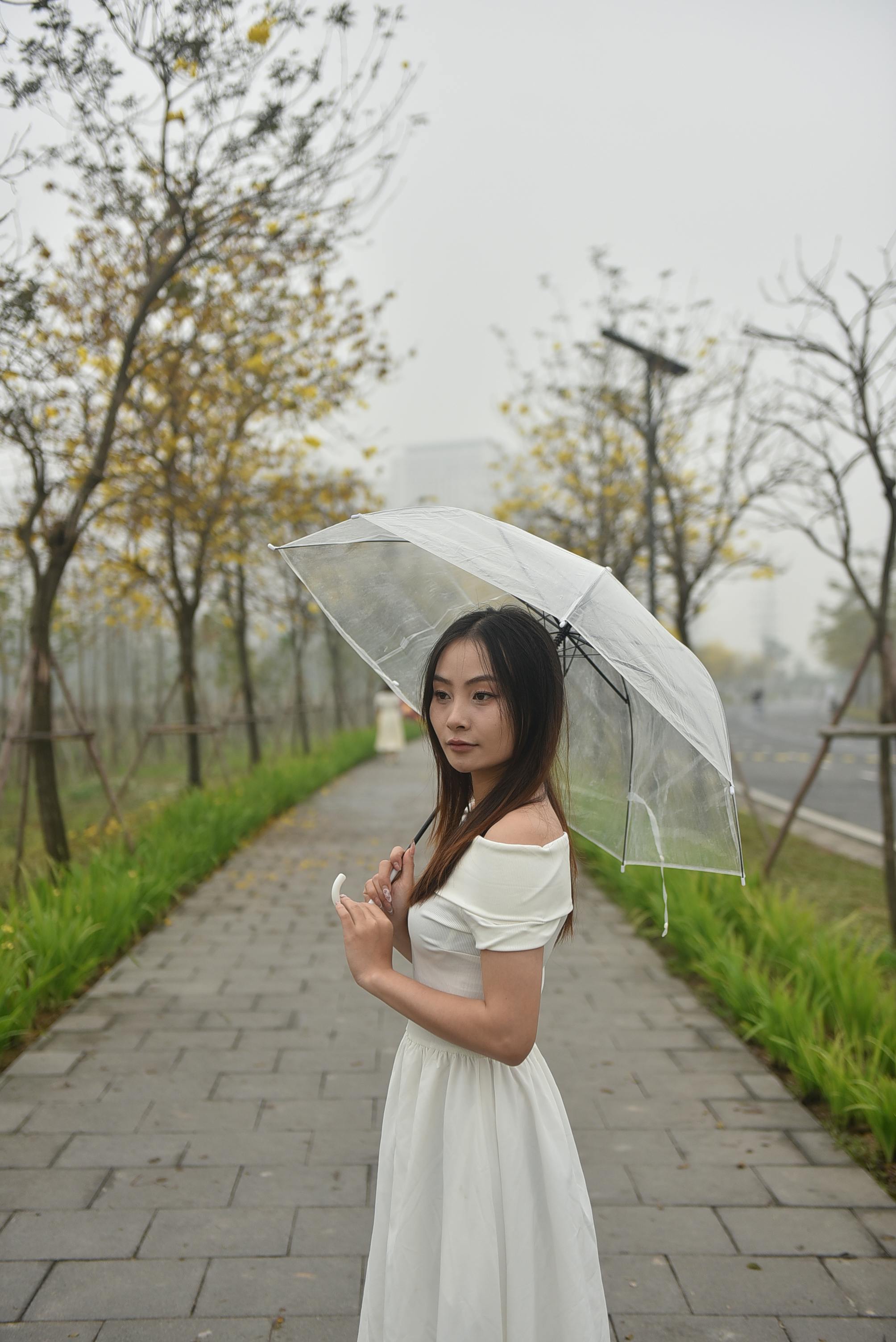Free A young woman in a white dress stands on a foggy path holding a transparent umbrella. Stock Photo