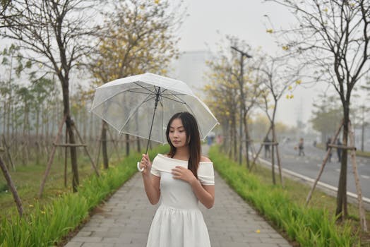 多种防蚊用品:蚊帐、驱蚊液、电蚊拍等