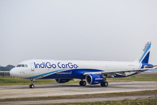 Side view of an IndiGo Cargo airplane on an airport runway during daytime.
