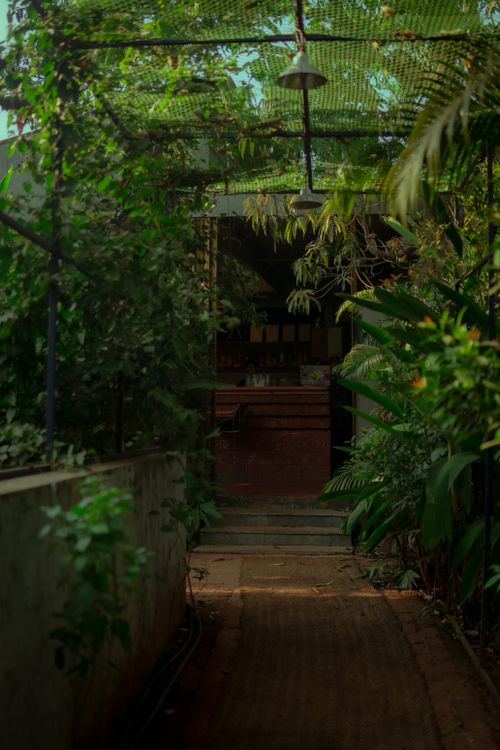 Free A tranquil garden pathway surrounded by lush greenery leading to a rustic hut. Stock Photo