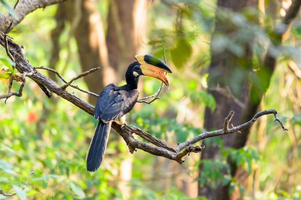 Salim Ali Bird Sanctuary Visit