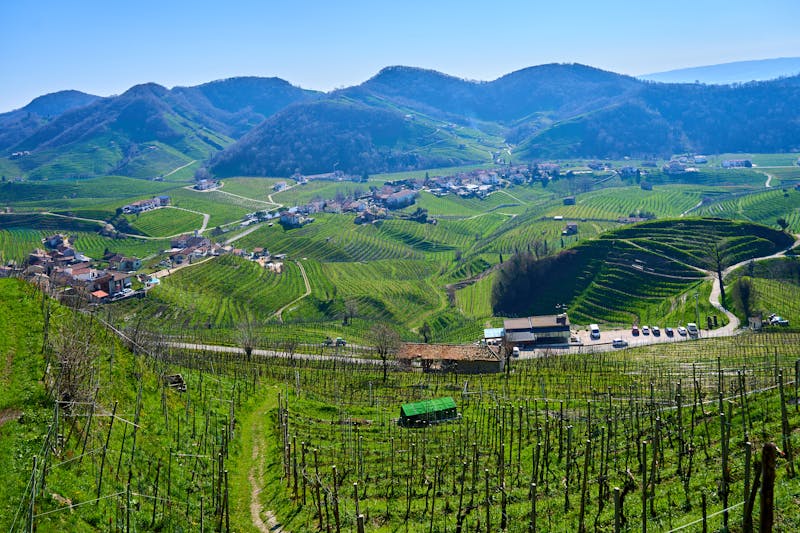 Langhe hills Piemonte
