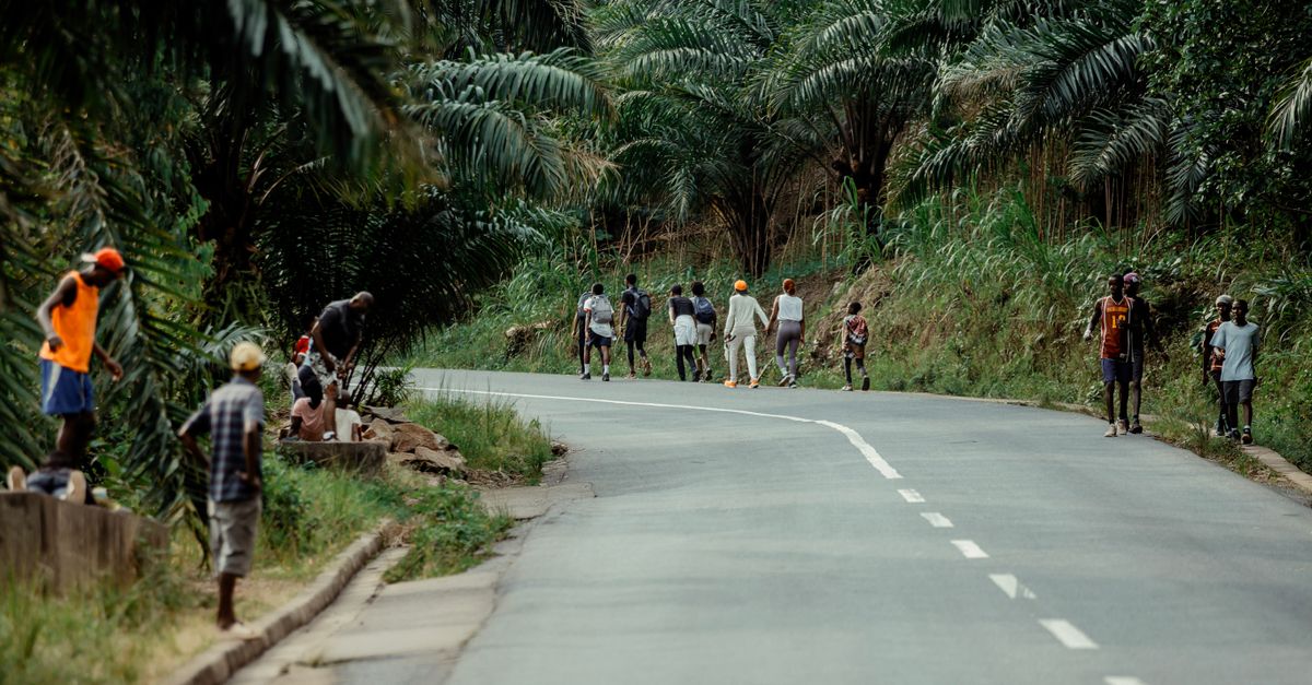 Cameroon: CSR cases protecting forests and supporting alternative community incomes Cameroon: CSR cases protecting forests and supporting alternative community incomes