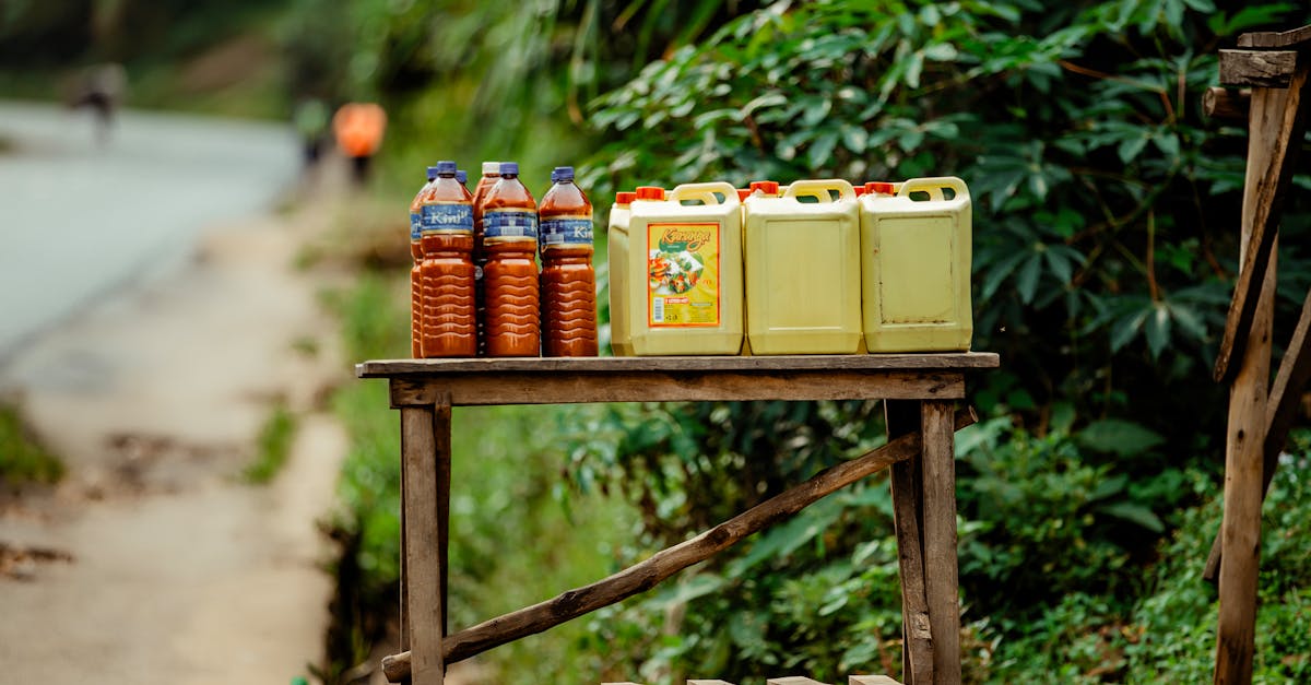 國際油價持穩 OPEC+擬明年第一季暫停增產穩定市場