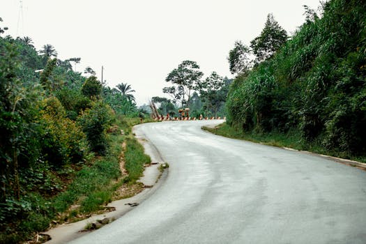 Curving road through lush greenery in a rural area, with hills and dense foliage.