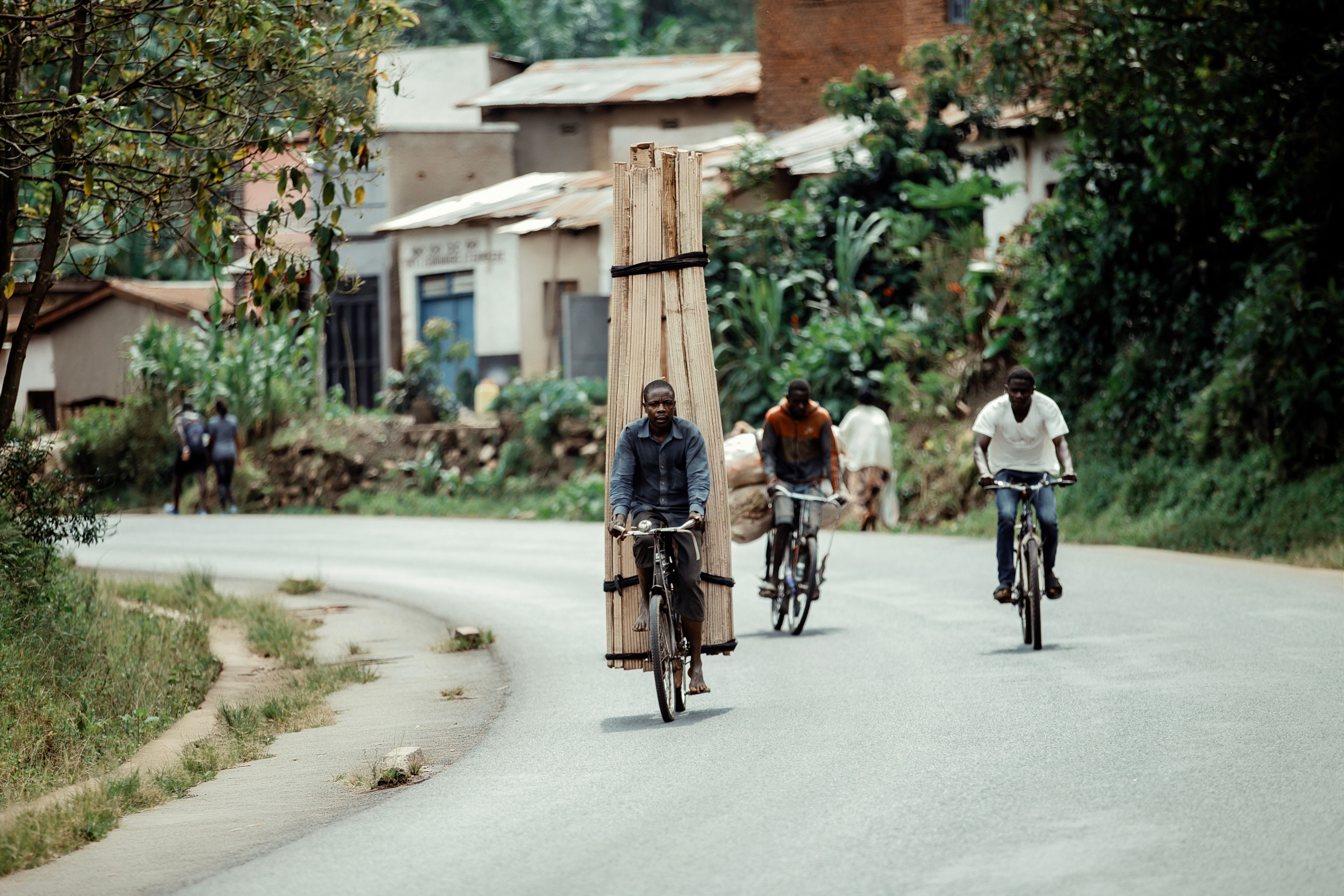 Cyclists carrying large wooden planks and goods on a rural road in a lush village.