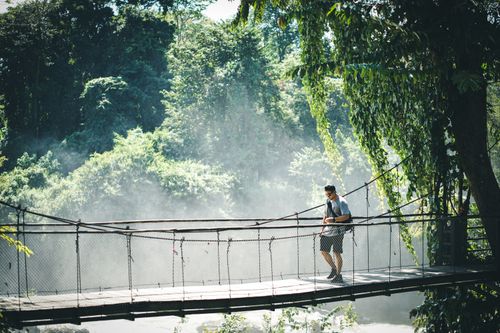 Free Man crosses a misty suspension bridge surrounded by lush greenery, conveying adventure in nature. Stock Photo