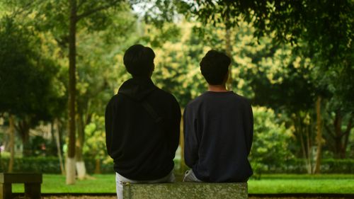 Free Two young adults sitting on a bench in a lush green park surrounded by trees. Stock Photo