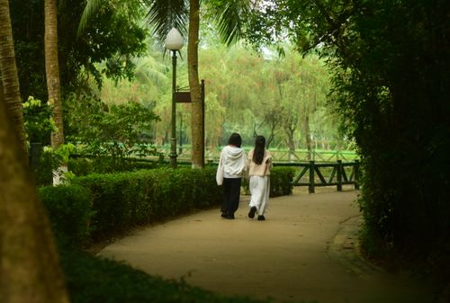 Free Two children walk down a serene garden pathway surrounded by lush greenery and trees. Stock Photo